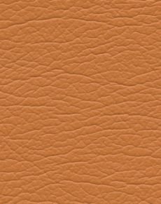 Apricot 291-8243