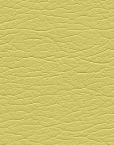 Bamboo 291-5255