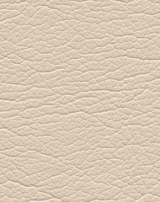 Champagne 291-3719