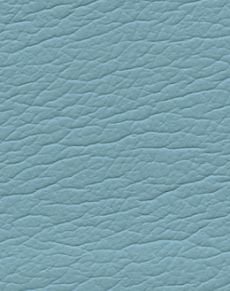 Cyan 291-2553