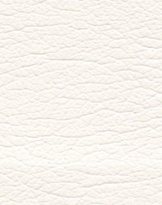 Ermine 291-5805