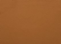 heartland-fabrics-leather-camel_732_general.jpg