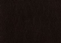 heartland-fabrics-leather-java_349_general.jpg