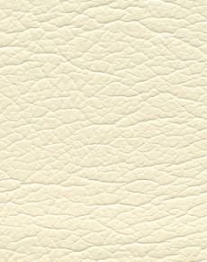 Ivory 291-3700