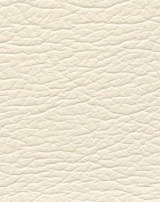 Light Oyster 291-3720
