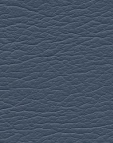 Marine 291-2603
