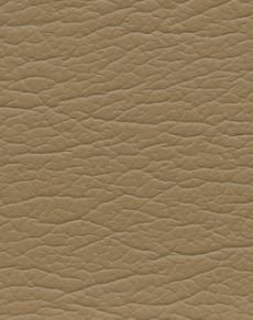 Pecan 291-3778