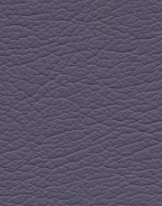 Plum 291-9385