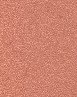 Salmon 291-6588