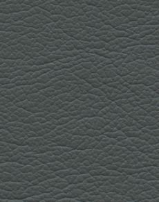 Schooner 291-5806