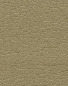 Timber 291-3182