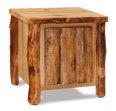 Fireside Rustic End Table with Slab Door