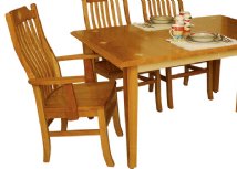 Santa Rosa Chair