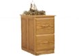 Traditional 2-Drawer Vertical File Cabinet